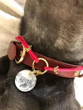 Leash-Set Lead Pet-Collars Dogs Pitbull Small Walking Real-Leather Personalized And 