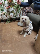 Pet Clothing Costume Outfit Pajamas Fleece Winter Apparel Small Warm 30 Four-Legs Jumpsuit