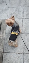 Traje de policía para Cosplay de perros y gatos, chaleco elástico negro, camiseta de cachorro, accesorios, ropa, disfraces