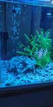 Grass-Decoration Aquarium-Decor Plant Fish-Tank Artificial-Plants Simulation Water-Weeds-Ornament
