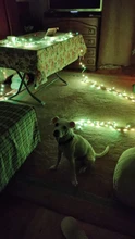 NEW WIFI LED Strip Light RGB 5050/2835 Flexible Ribbon Fita RGB Led Lights Tape Diode 20M-5M DC 12V and WIFI Controller
