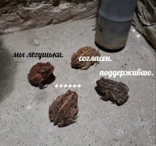 Personalidad niña pequeña bolsa marea de dibujos animados lindo de la rana bolsa de mensajero bolso Unisex bolso de hombro tipo bandolera mujeres bolso