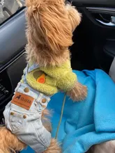 Jeans Clothing Jacket Coat Dog-Costume Puppy Dogs Small Denim Pet Medium for Chihuahua