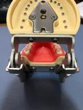 Modelo de enseñanza Dental de Modelo Dental, modelo estándar con mordedores de 32 tornillos, goma dura suave, 28 y 24 dientes