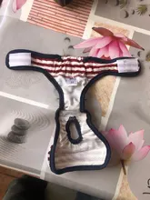 Menstruation Underwear Panties Jumpsuit Diaper Dog-Shorts Pet-Physiological Sanitary