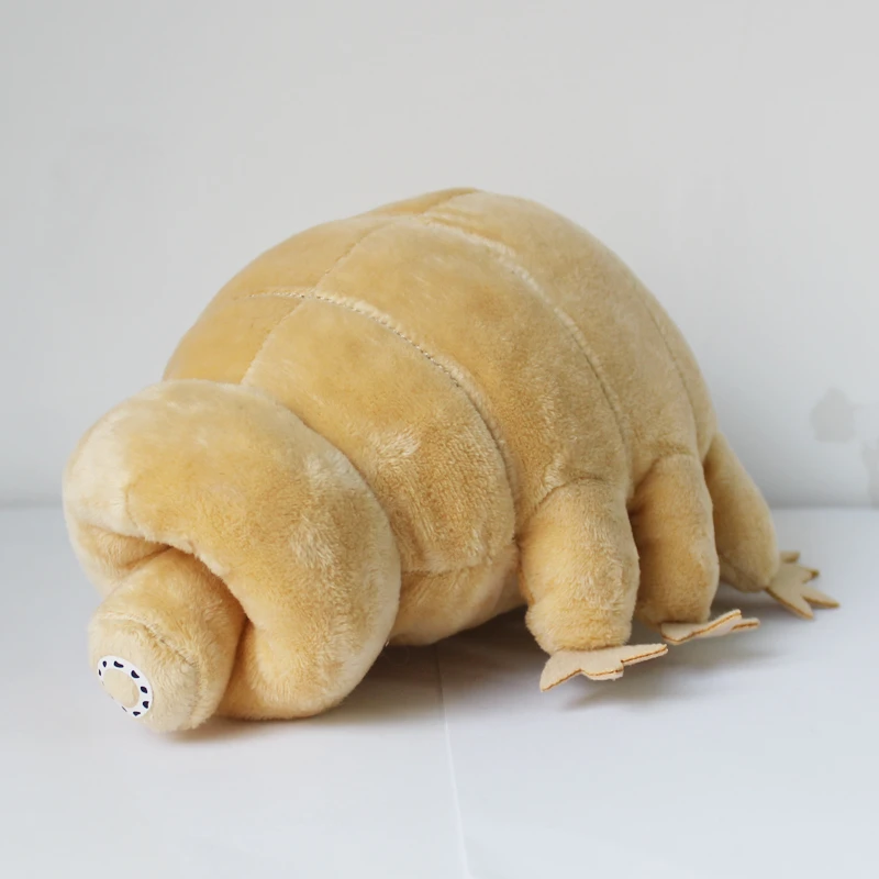 Tardigrade Water Bear Soft Stuffed Plush Toy ubicaciondepersonas.cdmx