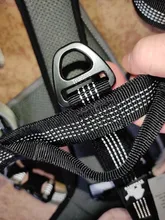 Pet-Harness Truelove Walk Padded Seat-Belt Handle Reflective-Dog Adjustable Small Soft