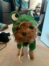 Dog Winter Warm Clothes Cute Plush Coat Hoodies for bulldog Pet Costume Jacket