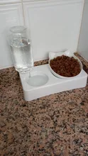Food-Bowl Raised-Stand Pet-Cat-Bowl Water-Fountain Automatic-Feeder Drinking For Cats