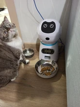 new Pet Feeder Pet Dispenser For Cat And Dog Travel Supply Automatic Smart slow Feeder