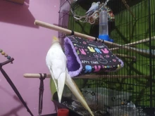 Cage Parrot Hammock Cage-Bed-Toys Nest Hamster-House Birds Warm Winter Fashion