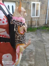 Gato bolsa frente mochila portador de chihuahua de perro de peluche mochila perros pequeños de mascotas productos para mascotas perros chien