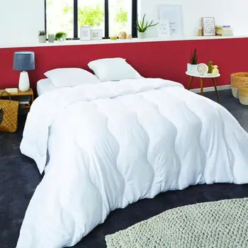 

Quilt tempered SWEETNIGHT PREMIUM Cotton Bedbugs-200x200 cm