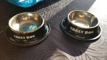 Pet-Bowl Stainless-Steel Melamine Dog And Removable 