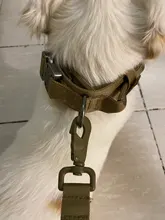 Leash Dog-Collar German Shepherd Dogs Training Adjustable Military Hunting Tactical Large