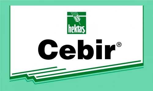 

Cebir® 1 Lt.