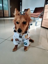 Clothing Bulldog-Clothes Corgi Raincoat Poodle Pug Bichon French Waterproof for Schnauzer