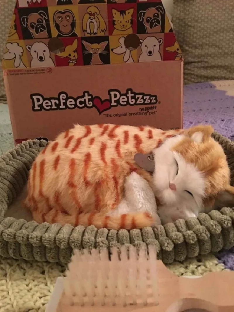 Котенок Оранжевый Тэбби с дыханием PerfectPetzzz