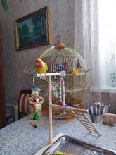 Perch-Stand Ladder Feeder Playground Bird Parrot with Wooden Platform Gym Cups Interactive-Toys