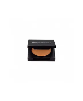 

Illuminator Bronze Color Chameleon