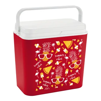 

FRIDGE MODEL SUMMER VIBES NETWORK 24L F1