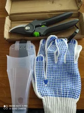 DTBD-tijeras de podar para jardinería, tijeras de acero inoxidable para Injerto de ramas de frutas y flores, herramientas de corte para el hogar