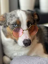 Gafas de sol para perros medianos y grandes, lentes de sol de moda para gatos, accesorios para fotos de Navidad, accesorios para mascotas