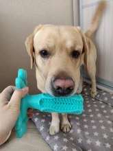 Dog-Toys Pet-Toothbrush Dog-Accessories Puppy-Chew-Toys Rubber Kong Bulldog French Perro