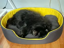 3D Washable Kennel Pet Bed For Dogs Cat House Dog Beds For Large Dogs Pets Products For