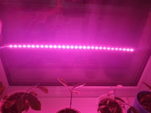 USB Phytolamps for Plants 5V LED Grow Light Strip 2835 Chip 1m 2m 3m LED Phyto Tape 