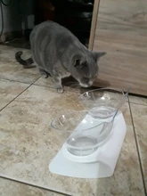 Cat-Bowls Feeders Raised-Stand For Cats Dogs Non-Slip Double with Pet-Food