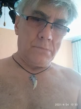 Collar de diente de lobo para hombre, colgante de resina con cabeza de Lobo de aleación, con cuerda de cuero, joyería #19006