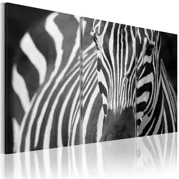 

Table-Ms. Zebra-60x40