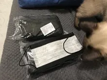 Mascarilla desechable no tejida de 3 capas para adultos, máscara transpirable de color negro y azul con banda elástica para las orejas, 10/50/100 Uds.