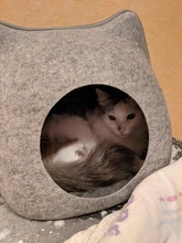 Cat-Bed Cushion Cats-Basket-Bags Nest Pet-Supplies Cave-Sleeping-Bag Zipper for Felt-Cloth