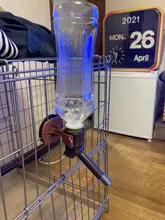 1 de policarbonato para perros gato dispensador de agua de botella de bebidas cabeza de la fuente de alimentación Bol dispensador de agua, suministros para mascotas