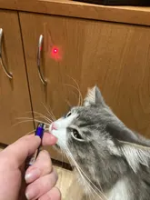 Láser rojo de juguete con luz LED para gatos, varillas de luz Visible, artículos interactivos divertidos para mascotas, 5 colores