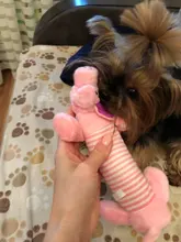 HILIFE-juguetes de peluche para perros y gatos, forro polar, durabilidad, chirridos, muñecas con sonido de elefante, pato, cerdo, apto para todas las mascotas