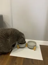 Pet-Bowl Dog-Accessories Feeding-Supplies Puppy Water-Feeder Cat Ceramic Dog-Food Durable