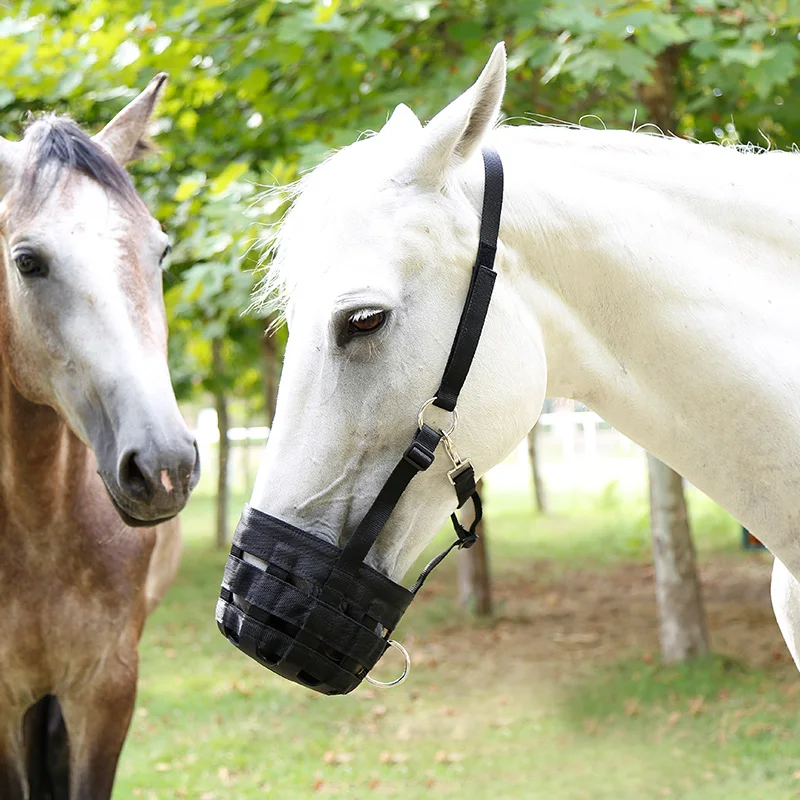 Cavpassion-Horse Grazing Muzzle with Halter, Equestrian Equipment, Easy Breathe, Comfortable, 8216012 4