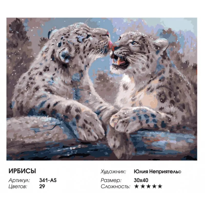 341-as_twice_808-800x800