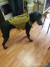 Vest Harnesses Pet-Training Dogs Military-Working Tactical Medium Nylon Durable for Large