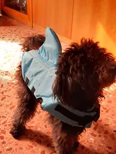 Chaleco salvavidas para perro, chaqueta salvavidas, ropa de baño para perros, traje de baño para mascotas, forma de tiburón