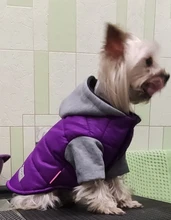 Hoodies Jacket Puppy French-Bulldog Small Dogs Waterproof Dog Chihuahua Winter Autumn