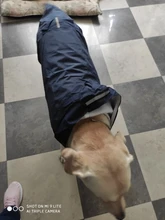 Dogs Coat Rain-Jacket Labrador Big-Poncho Golden-Retriever Waterproof Outdoor Pet-Dog