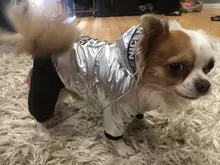 Jumpsuit Pet-Costumes Cotton-Padded Silver-Color Dogs Waterproof Winter Fashion for Hoodie