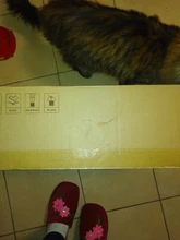 ($18CODE: FASTAPR18)XIAOMI MIJIA-Robot aspirador 1 para el hogar, limpiador automático de polvo, esterilizador, Planificación inteligente, aplicación WIFI, $18 Código: FASTAPR18, Original