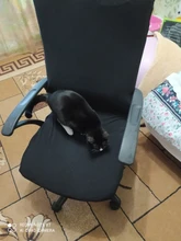 Chair-Cover Computer Elastic-Fabric Spandex Washable Office New Removeable Easy Modern