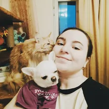 Letras de moda impreso Bulldog francés Camisa de algodón elástico ropa de perro mascota para Yorkshire Chihuahua verano bombero esposa camiseta bombero novia fuego emblema bombero Don bombero Cruz de traje