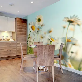 

Wall mural-Daisies: Lawn spring-250x193 cm